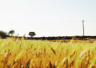 2019-09-23/9633fa2033afe84ac55d35e369c3a758_3f41d5cc2cd4a9a86a6b5411b76774aa