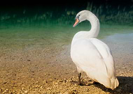 2019-09-23/dc43c94d52b4abcd8eea5254fbca80b2_f2d31dc5ad6c0dc2b25df4b8f84a49e6