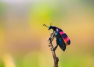 2019-09-24/366f96a740f12fb1ece7d4f04f338eff_0da3adb0b2e625be44947ad2b331df3d