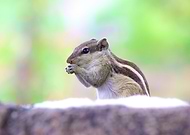 2019-09-24/4089ed2c1459a6b58f32939a72ae9bf4_aceda4f0b505cdd44d076c1516f3eff2