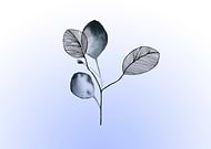 2019-09-24/5298f5a6ece4acc3311af5500de2ff7b_8deb0d7f17dd761d3bf6d13f64fab357