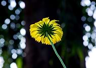 2019-09-24/99e38b47cfc1344c5fda57aa24c00cb3_cf7bde321cc1aa66f14798136f04fd6d