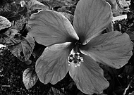 2019-09-25/0655eee7d2f30294191236c6611a1156_b8e142335ab0ea84adcf06c0f32f8312