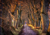 2019-09-25/36886e15d7a00a469538cbf6646bab62_4f2108894e395c2fe7c7971a6e676292