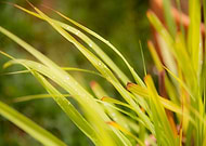 2019-09-25/9e2586ae4a3245df0792f5e93d9160ba_2ece90389516ff55b7d37e8bb2ee071e