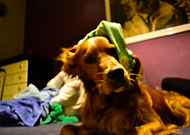 2019-09-26/22f889aae84dfeeeb90f0a6677f1f902_9f1d9adb274bea4d9105eb736668eca4