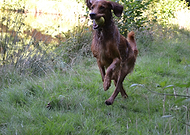 2019-09-26/442e105edc6e7f8d0a5814b4e9260bf7_75347036d1d16e98065eb3efd16fd158