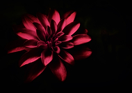 2019-09-26/555a0452eee611e65441905e0d7cbc8e_488009ddffa2b8cb377b8461d24e3fc6