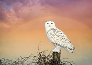 2019-09-26/6c5d947bfd389b1987b1aa9421ed879d_96bbc40025588e7822ce477a1dd560d7