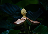 2019-09-27/3833470c5c601eb46b3f10a41eae7d71_eb77454b7d3334e1f1d9f3bd25958461