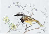 2019-09-27/57ae9a4017302f9315c1e93c451c40de_65322de3b3885e4a141bae6bf36726a6