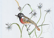 2019-09-27/a72a643252c4276f48575cf745f11faf_92b30761a2fd13d0f1bc358707ce8eb5