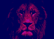 2019-09-28/39d4ad91f925dd1563e59cd23b34f568_4f156c4e9483c9589e21d6bb08c69638