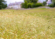 2019-09-28/41e841e08ab67ae0296bc59380046784_be34e385ad6249753d1472b0499ebe35