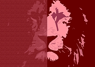 2019-09-28/b228b809f0a456d068cc2d49809ae881_343fa55f9ecd7892dd057fb02bba67e1