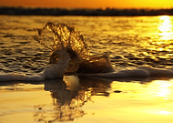 2019-09-29/a91dbe45ce8f05bbba90b1dcf5105d20_11873d5a5ed2c9456618db372bd25bb1