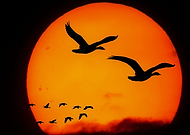 2019-10-01/03436bd39be62f8820e23eac603bb887_e2d78617c3619866ff7123693a100afd