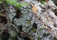 2019-10-01/ad32d7d1664ca48775aff6008458e5f2_7c9da1d92d41e5c40d44dc1bf42817f2