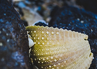 2019-10-01/f716733757195bf8cb9a803af281da0e_022d089a2018f5d68ac1572889783956