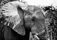 2019-10-02/298d590a2e7a0b62010ee359f4be1bac_e0d4501ef13d6a248ad3267841031db1