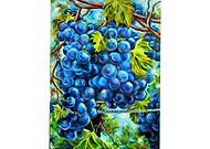 2019-10-02/6a40895dd77ad2473be4cf688cea28bc_8366583354d0c7bfd1a072421e0dd30f