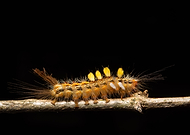 2019-10-02/847ed864ae3c7ae1dd24e1d5d385a051_5c52ce78c043d0116ea03995e59211ff