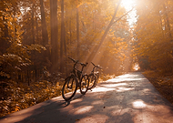 2019-10-02/85f120c124ed17438cd33177ecb3a3c5_a10cd6d6447a947dedd8ae034a26fffb