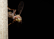 2019-10-02/9d656f0b44e6c2ed415cbeb99faf6eed_404302e214a6d2ff1c5872a8ef79d121