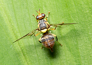 2019-10-02/b88946b27a386dbf0192167f5f762438_da28d4ad33794ce6edb061fb59015ae7