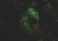 2019-10-03/253d7131a1438ee1f383bc6fffda03d9_f73a37014ffbec89dcb909c5f0880f6f