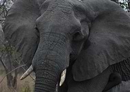 2019-10-03/2eca22daf823c0991f6a3b9f2d1186d5_72776359b5fa0a5097ea8735e829679e