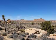 2019-10-03/67228ae85c0a020ef0fdcb13f088bbda_97b905dc84b11580ff47581d0b7b874b