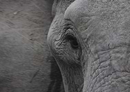 2019-10-03/76942a815b388a07323fe09c52b0a5ac_93c90cd8effab42b37662c9bfb721771