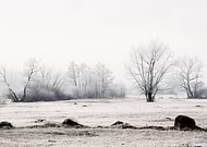 2019-10-03/9f50efe2704ca3234a32ed53cfb18f0d_46e79dce92ba0411d4283cd516a95a88