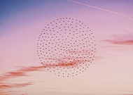 2019-10-04/3dc1b001aebf937b53565e91e6d305a5_2e2cf8209e9c6bdcf5cb0aada19f2bac