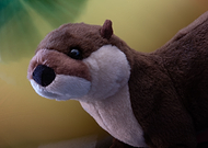 2019-10-05/3a4e7882568f51a03d337f234d7fde95_bda704c7eddec848fa783e0a4177397f