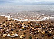 2019-10-05/bcd9832b57b308be608ca93779f82aa0_92e0891c4838f09a497cb3ca59fa9e37