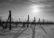 2019-10-06/e26483ad1d3ef1c77d15aa693bc70666_6bf0ae22d1838a0824f4d7217202e5c7