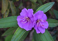 2019-10-06/e4dc5373b13c2fb060198a80bfb44745_6c9b2efceef497c0871ebd34319bfd84