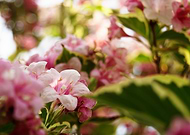 2019-10-08/245ca527f74a2e696f45ce2dcfbb88cc_bf6741f54c18c315820787141fb690ba