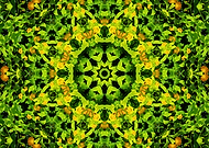 2019-10-08/9d2c173a3dce268c33b2f2a1f4475449_9467380c471ec7c3bc2d8501954f8951