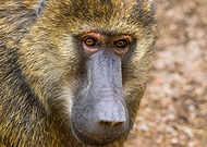 2019-10-09/6a0958c18da5d32aede13d19d991b865_9852c6d3c8282aa59cd62678bd99dc92