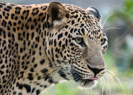 2019-10-09/6a4cf0c18fe263475d061bc17ab223f1_ae0b19134cbfbeb5b9719630e205bb08