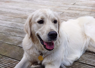 2019-10-09/777548e7bed905fedad72550a0118f89_3cd4a19e27610e5e5fd2ed2dc777d953