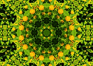 2019-10-09/cc63da2401bc9497974b5a6a1c444107_6710a136e8ff20e60fbd77612dba7cc2