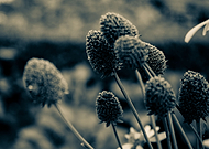 2019-10-09/e583e4ebb415b924f5cfbefa48a60790_fd48f151bbc4f542c9ae8b16d27e3789