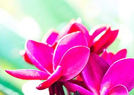 2019-10-10/f1b7fe7079c66bb256946768959bec50_94bc945966da04b06ab1a848448fb335