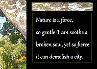 2019-10-10/f63cc9eeff9fa20491470da19b9f2bb6_c063e1c9a8491ec8f78f9610da08ee3f