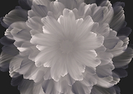 2019-10-12/46d73771c0c47f673d402e4efeccddb9_f544d4d11d074052b5b22396a58c7804