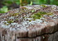 2019-10-14/acd56e8065688e1745873600791fbdab_8b55d0c9def8c0e2a5206d7e84485d7d